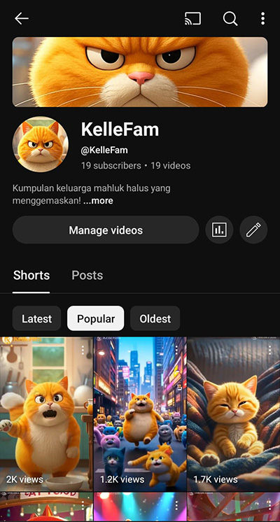 YouTube Video 1